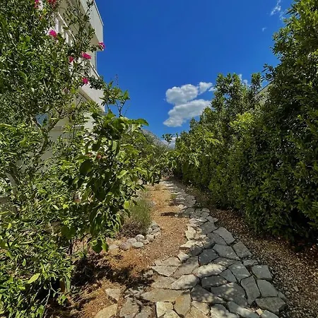 Katic Апартаменты