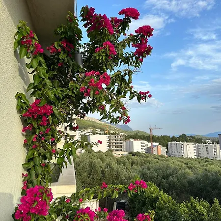 Katic Апартаменты *